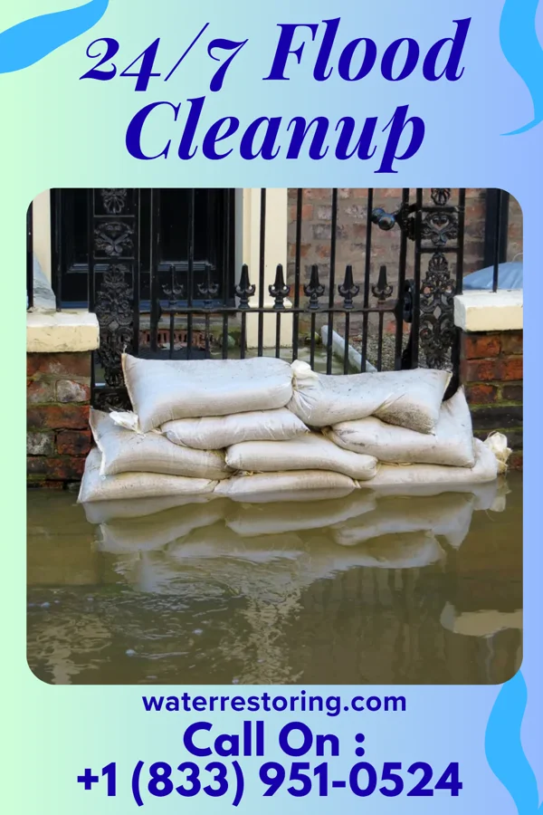 24/7 Flood Cleanup in Bethany, IL