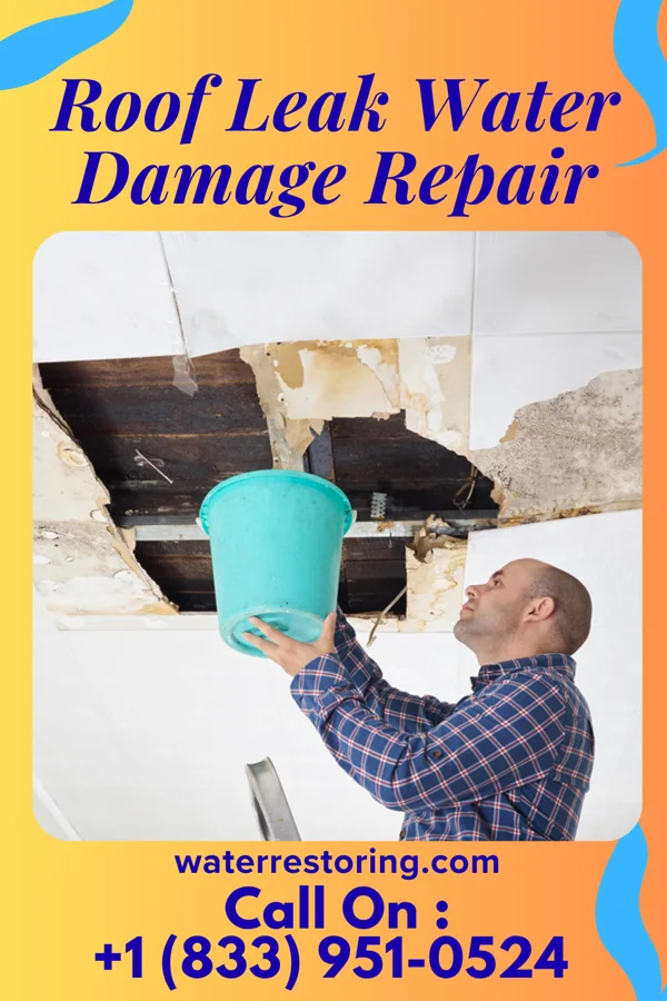 Roof Leak Water Damage Repair in Bethany, IL